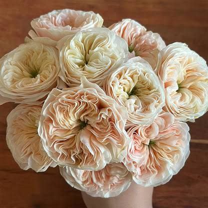 Стенлі Еббі (Stanley Abbey)