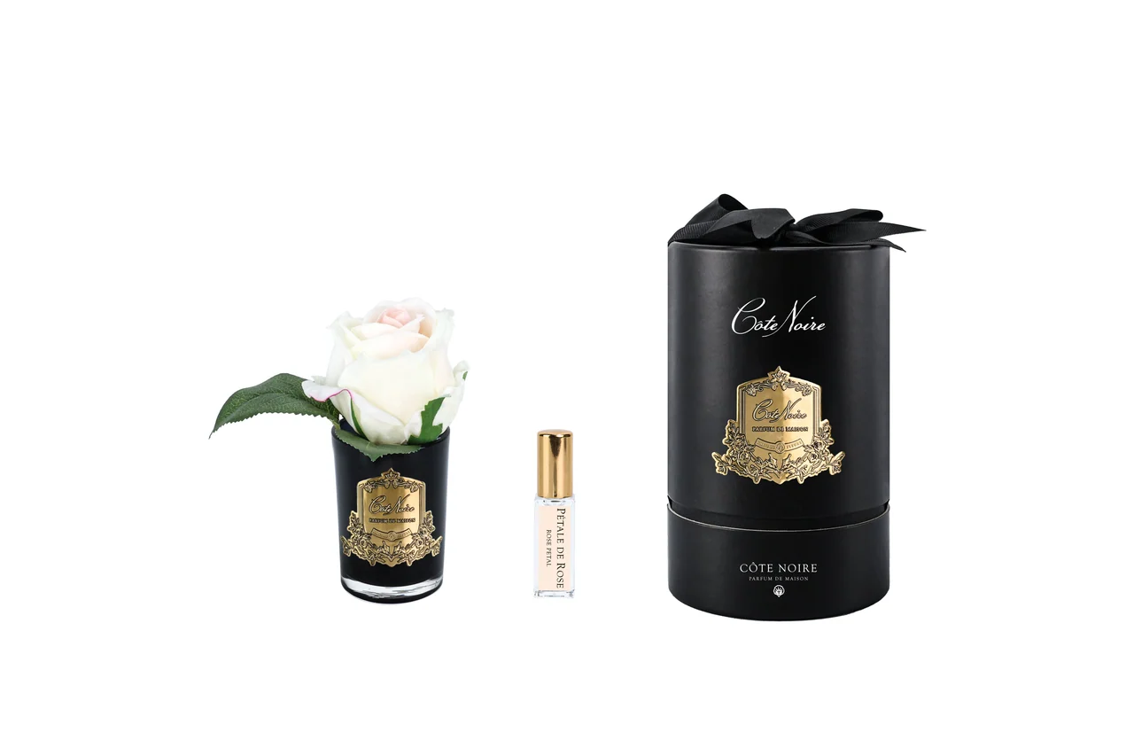 Аромаквіти Cote Noire Rose bud Blush & Black Glass — ароматична ніжно-рожева троянда у чорній скляній вазі