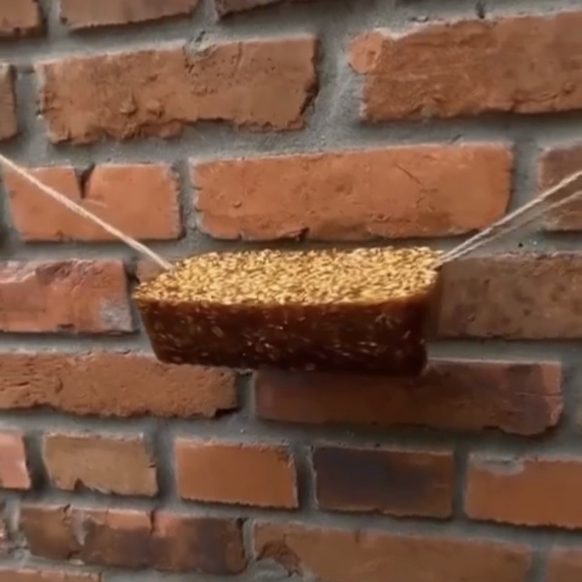 Brick Happy