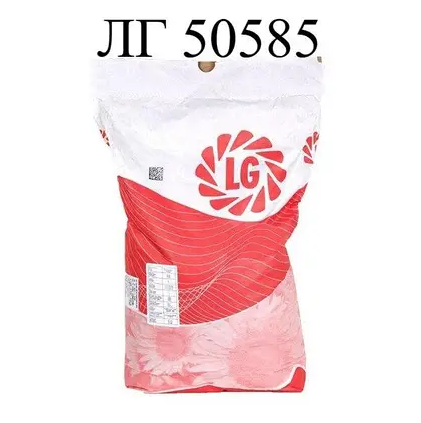 Насіння соняшнику ЛГ 50585 Limagrain, насіння високоврожайного соняшнику Лімагрейн