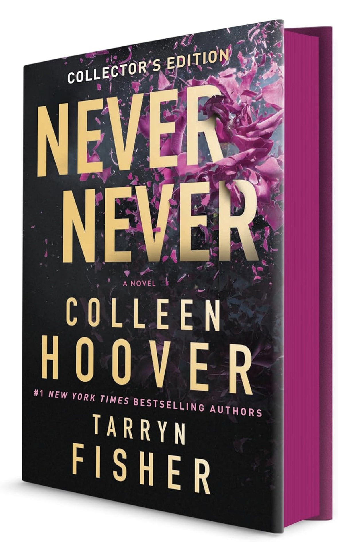 Never Never Collector's Edition Colleen Hoover Tarryn Fisher