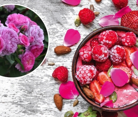 Renee van Wegberg - Рене ван Вегберг