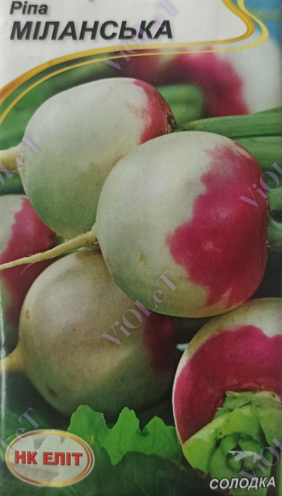 Ріпа Міланська, 2 г НК ЕЛІТ