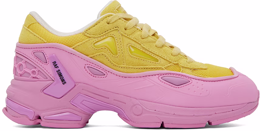 Кросівки RAF SIMONS