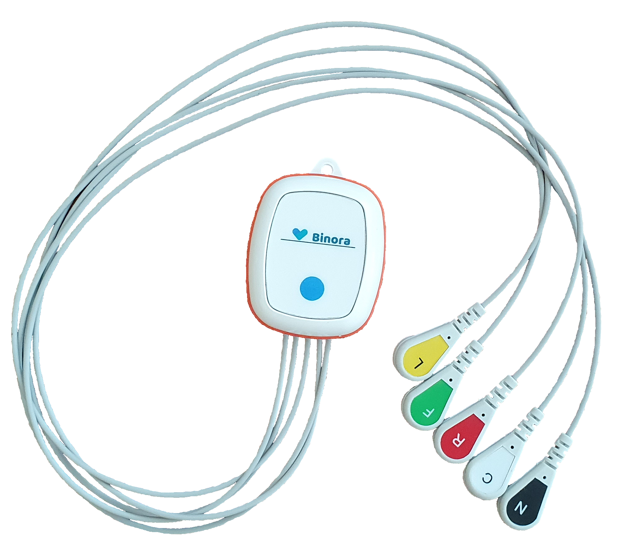Recorder of daily monitoring with radio transmission Bee-C (Holter monitor)
