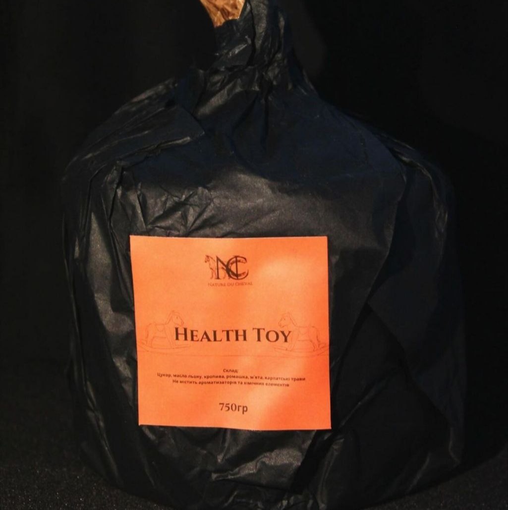 Health Toy