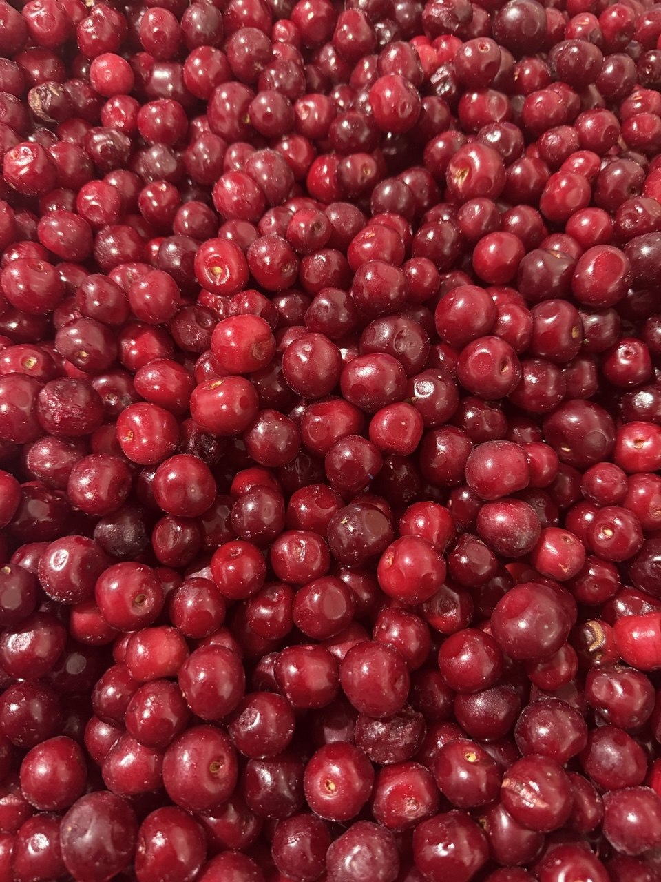 Frozen Sour Cherry