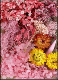 Dried Flower Bag