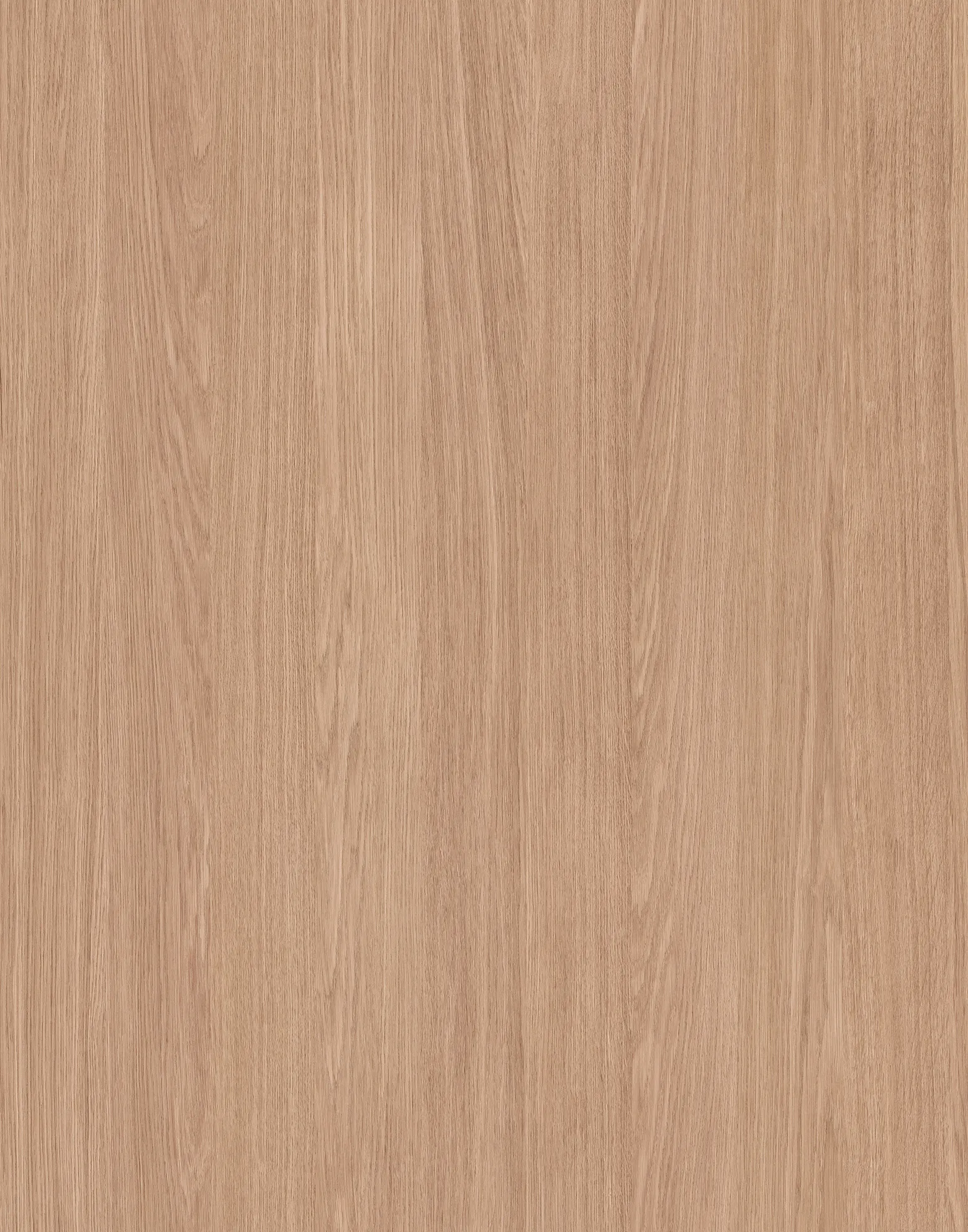 Дуб Прімавера Сілк