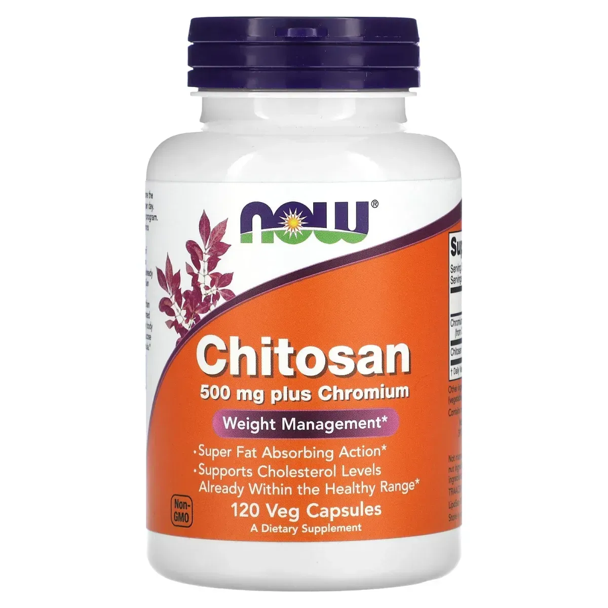Now Foods Chitosan 500 мг – 120 капсул