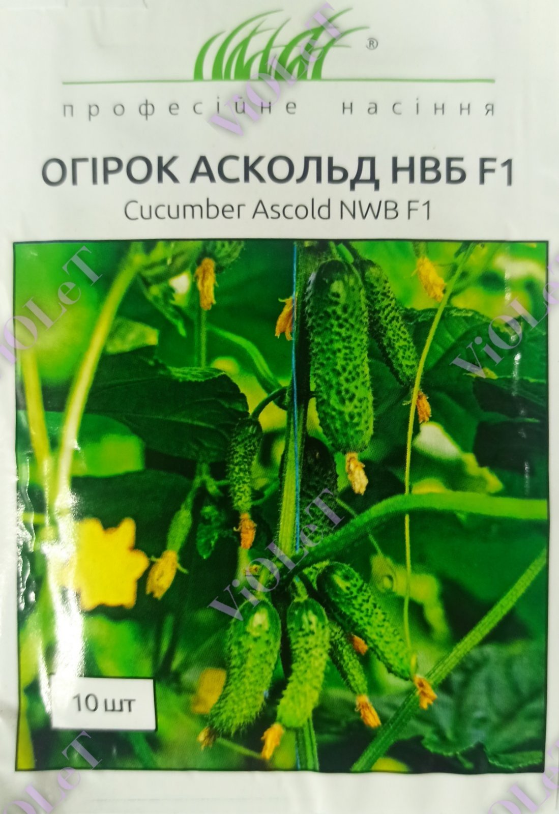 Огірок Аскольд F1, 10шт. Професійне насіння