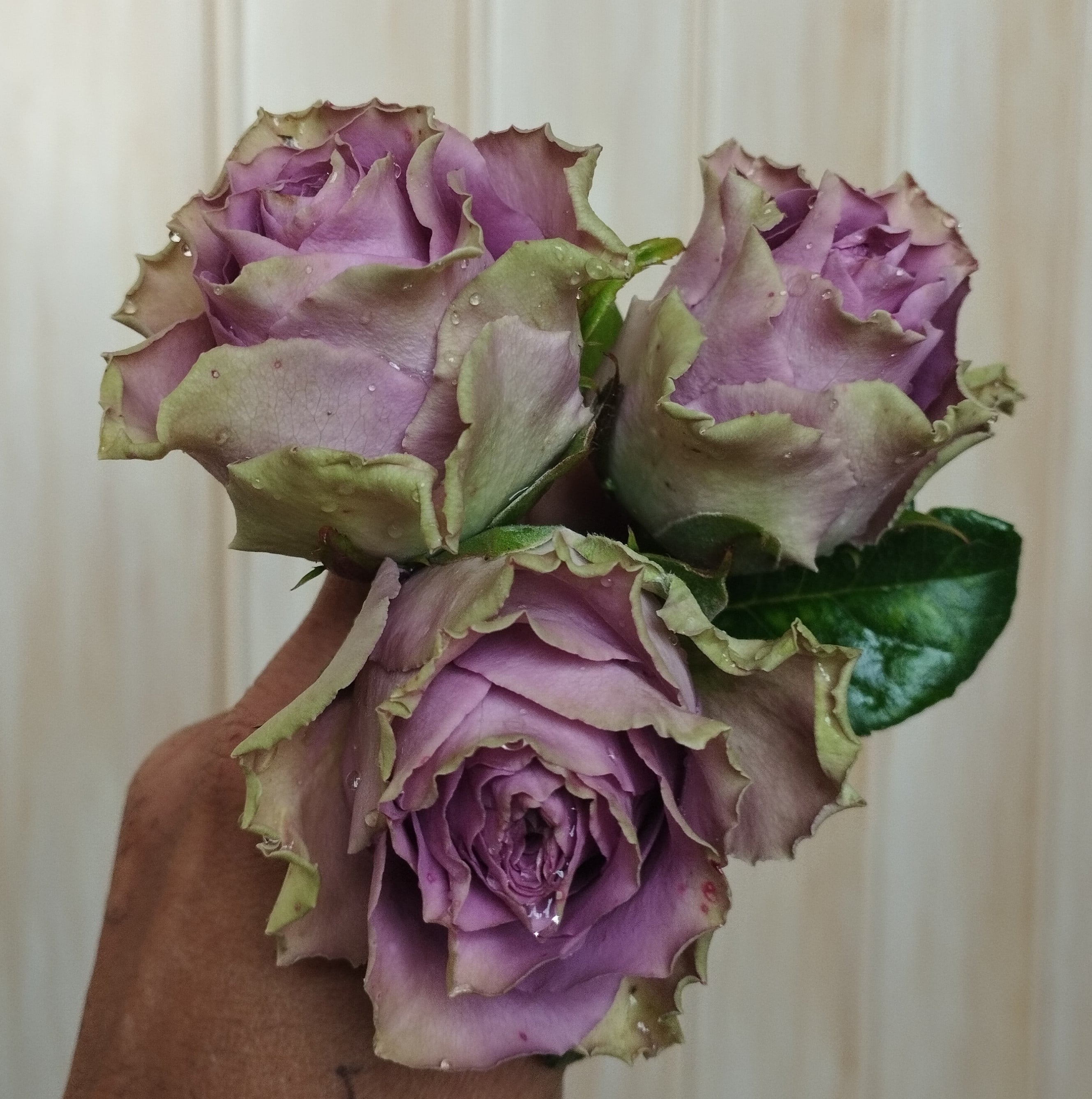 Візантія (Byzantine)